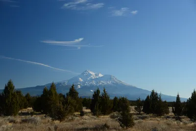 DSC_2975 (Large).JPG